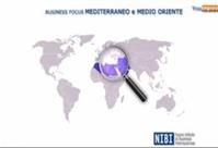 Business Focus Mediterraneo e Medio Oriente